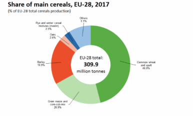 Recoltarea cerealelor în UE a crescut de la 2,7% la 310 milioane de tone