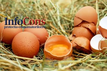ANSVSA a demarat controale privind ouăle provenite din comerțul intracomunitar