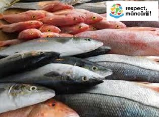 35% din producția de pește și fructe de mare sunt risipite la nivel global  !