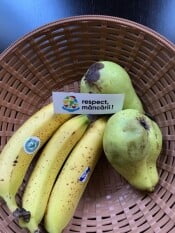 Bananele si biodiversitatea