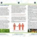 pliant-a4-constructii_gradinarit_interior