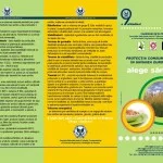 pliant-a4_termeni_definitii_exterior