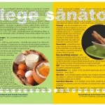 pliant-a5-termeni-definitii-verso