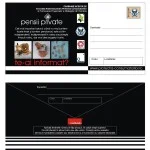 plic-pensii-private-41