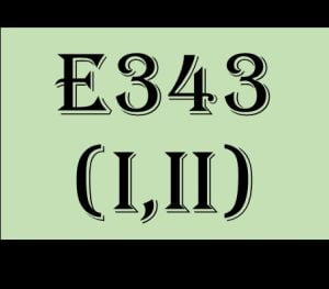 E343