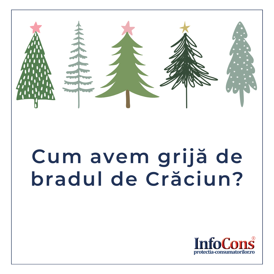 Bradul de Crăciun – Sfaturi InfoCons Organizație de Protecția Consumatorului