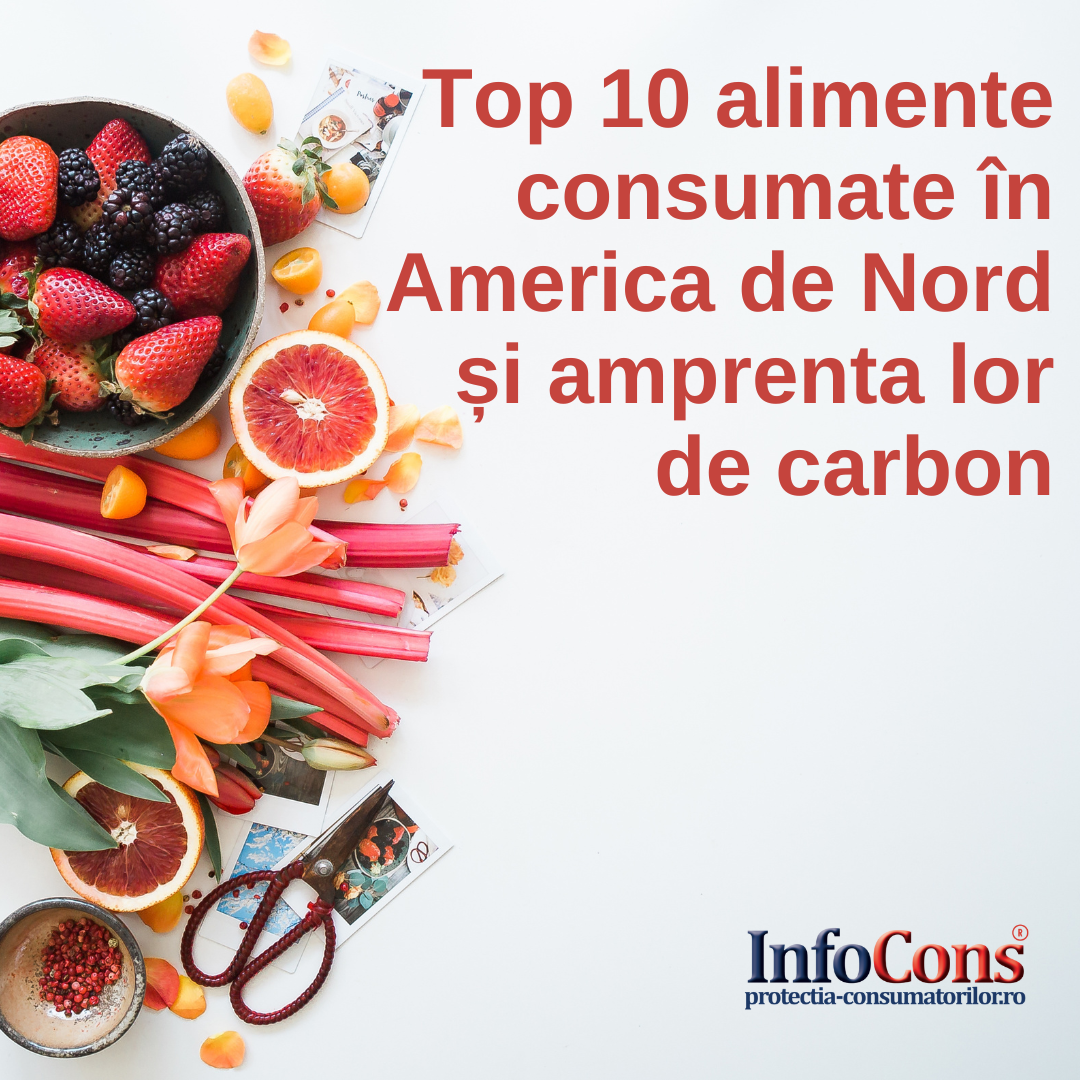 Top 10 alimente consumate în America de Nord și amprenta lor de carbon InfoCons Protectia Consumator