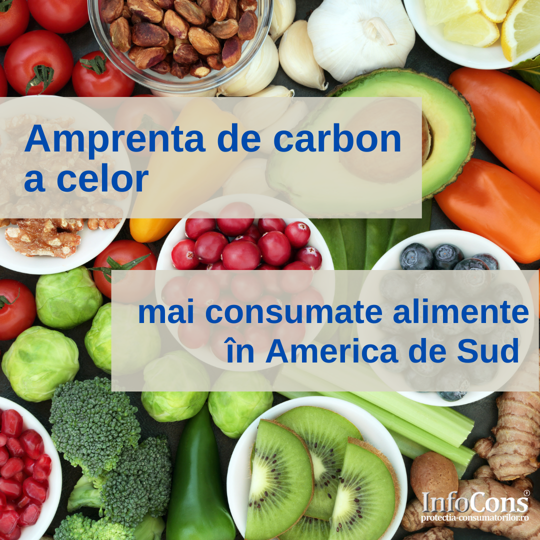 InfoCons Protectia Consumatorilor Protectia Consumatorului Amprenta de Carbon America de Sud