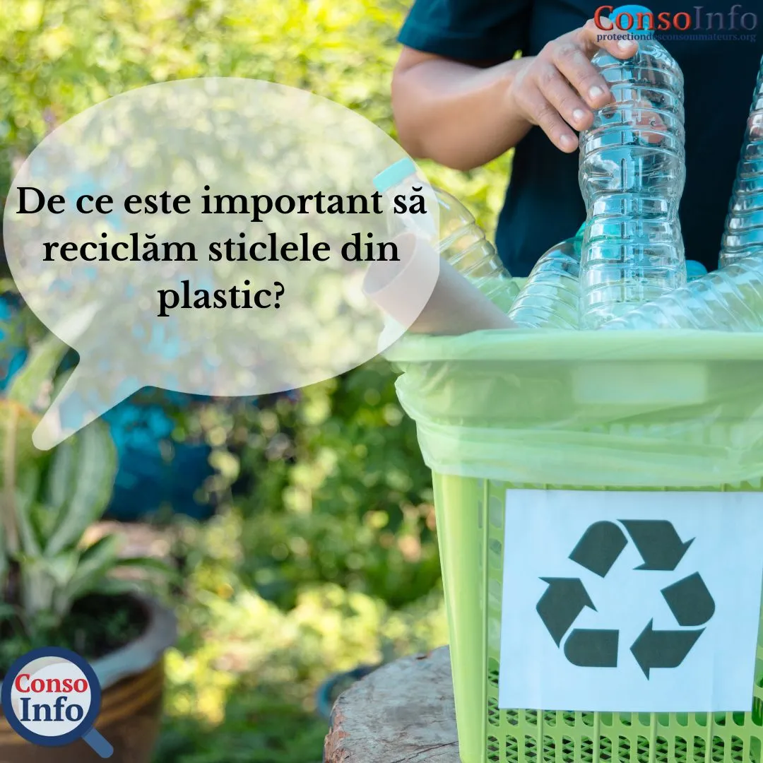 Reciclarea Sticlelor: O Contribuție la Protejarea Mediului