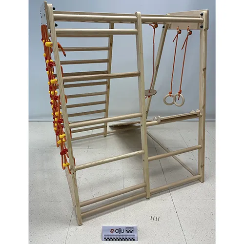 RINAGYM - Cadru de cățărare