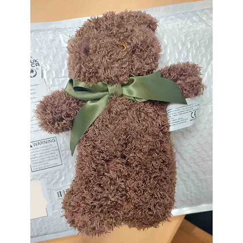 Jucărie moale reprezentând un urs cu o panglică textilă din satin verde în jurul gâtului. Toate loturile sunt afectate. Produs vândut online, în special prin intermediul Temu.