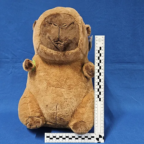 Y.Y. - Jucărie moale