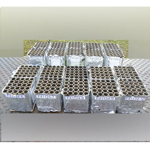 Fireworks International B.V. - Focuri de artificii