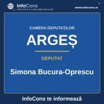 Camera Deputaților și deputata Simona Bucura-Oprescu – InfoCons te informează