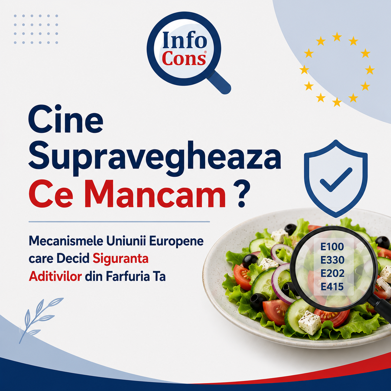 Cine Supravegheaza Ce Mancam ? Mecanismele Uniunii Europene care Decid Siguranta Aditivilor din Farfuria Ta