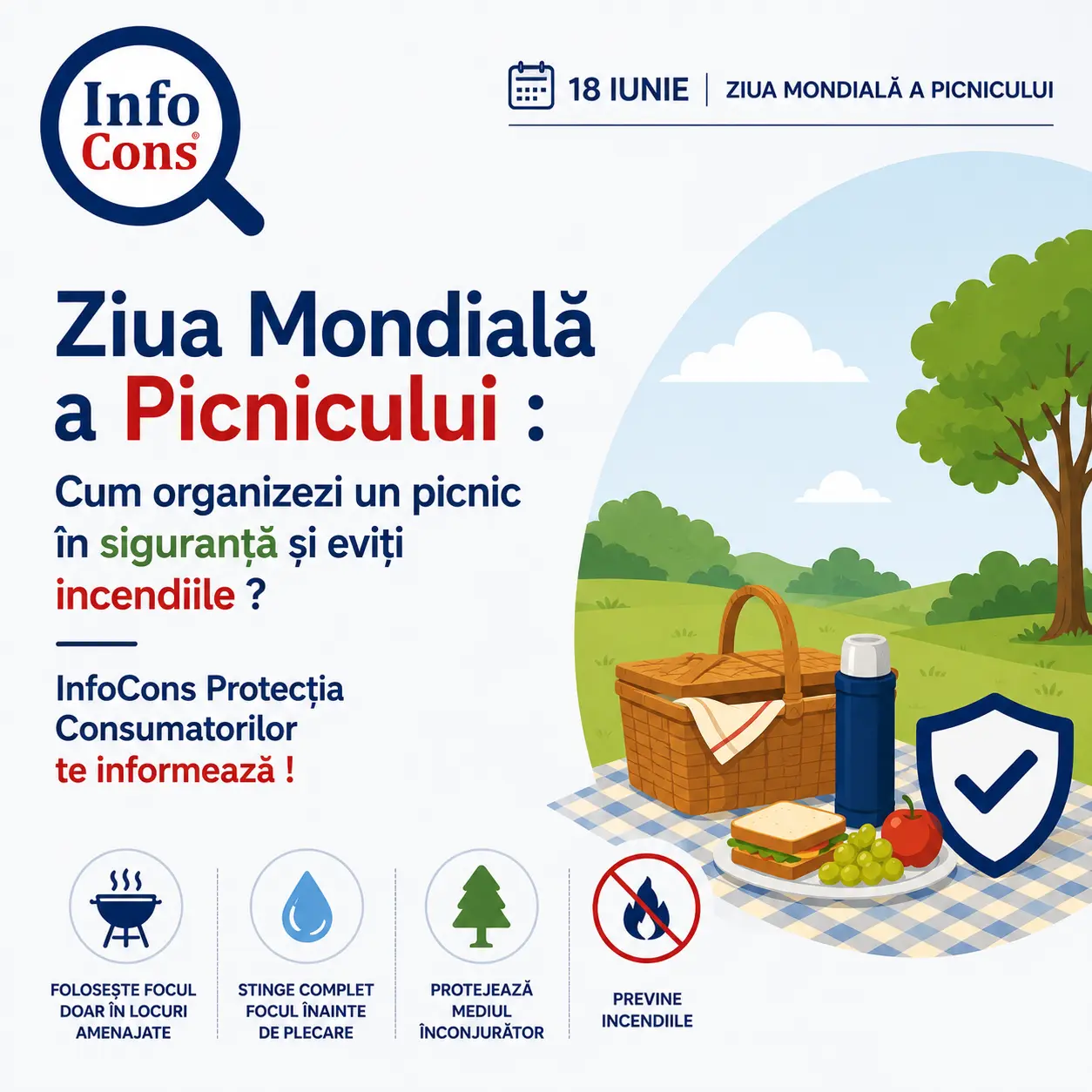 Ziua Mondială a Picnicului : Cum organizezi un picnic în siguranță și eviți incendiile ? InfoCons Protecția Consumatorilor te informează !