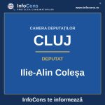 Camera Deputaților și deputatul Ilie-Alin Coleșa – InfoCons te informează