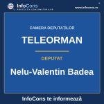 Camera Deputaților și deputatul Nelu-Valentin Badea – InfoCons te informează