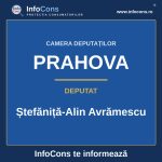 Camera Deputaților și deputatul Ștefăniță-Alin Avrămescu – InfoCons te informează