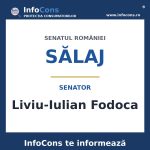 Senatul României și senatorul Liviu-Iulian Fodoca – InfoCons te informează