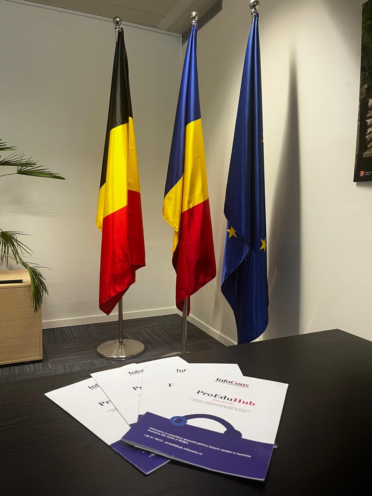 ProEduHub : Ghidul tinerilor români din diaspora pentru studii în România , diseminat cu sprijinul Secției Consulare a Ambasadei României în Regatul Belgiei