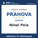 Senatul României și senatorul Ninel Peia – InfoCons te informează