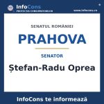 Senatul României și senatorul Ștefan-Radu Oprea – InfoCons te informează