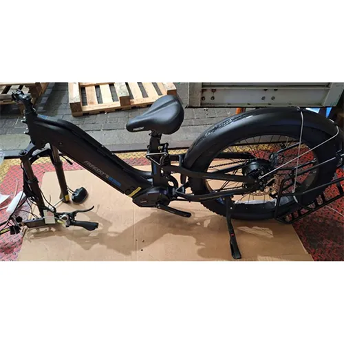 FREESKY - Bicicletă electrică