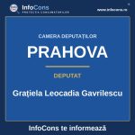 Camera Deputaților și deputata Grațiela Leocadia Gavrilescu – InfoCons te informează