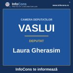 Camera Deputaților și deputata Laura Gherasim – InfoCons te informează