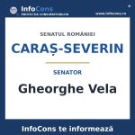 Senatul României și senatorul Gheorghe Vela – InfoCons te informează